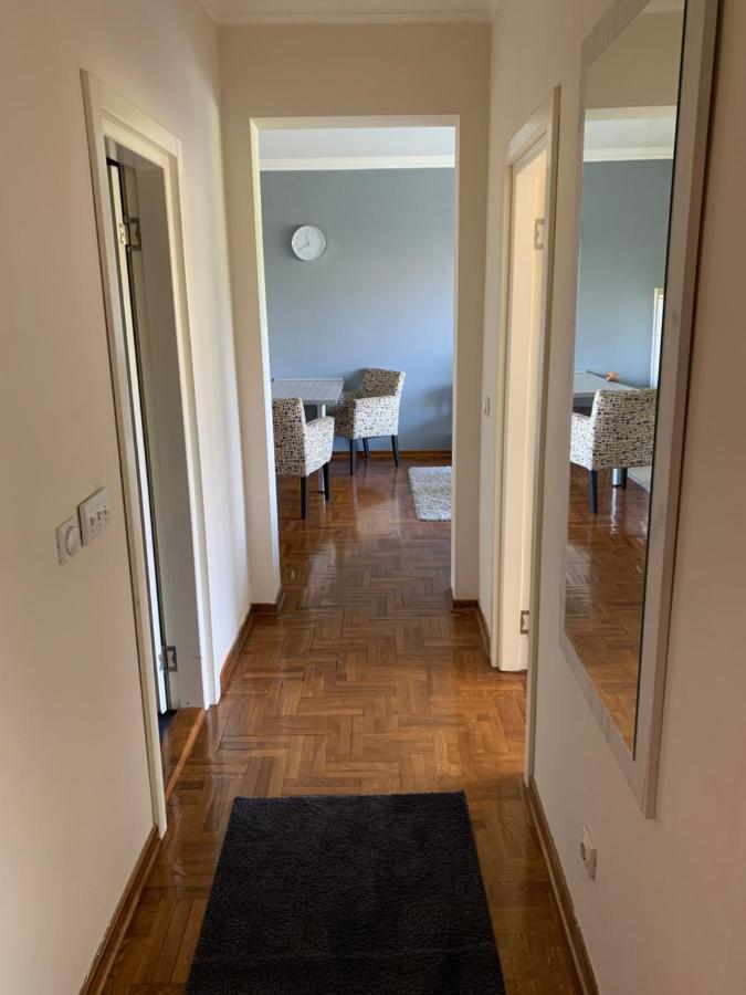 Sunkissed Apartment 贝尔格莱德 外观 照片