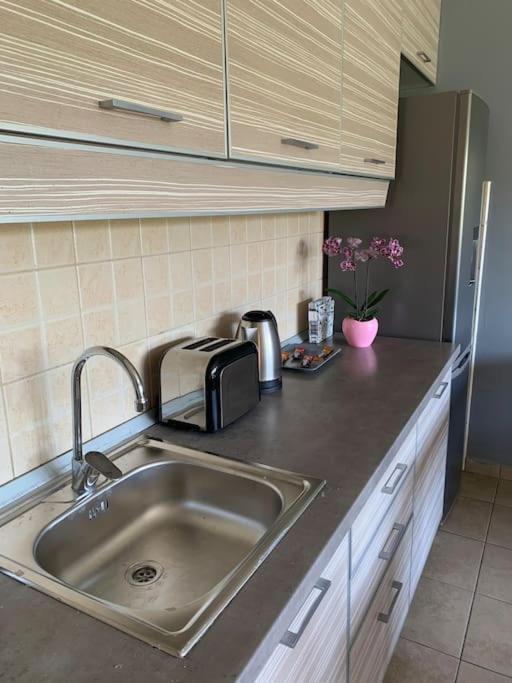 Sunkissed Apartment 贝尔格莱德 外观 照片