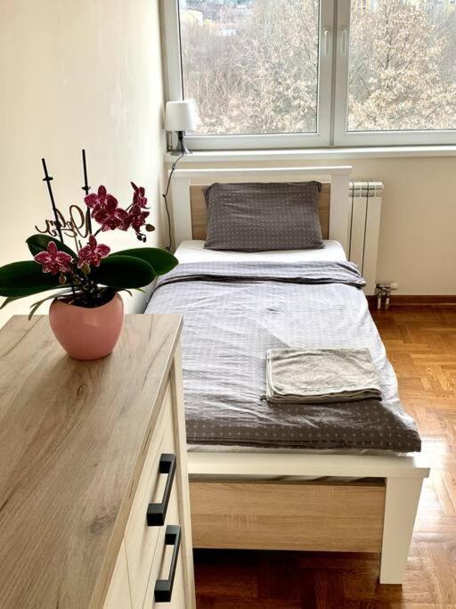 Sunkissed Apartment 贝尔格莱德 外观 照片